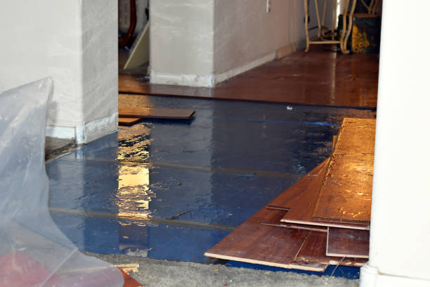 Professional Burst Pipe Cleanup technician working in Owendale, MI